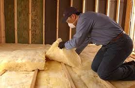 Best Eco-Friendly or Green Insulation Solutions  in Randolph, WI